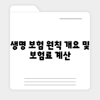 생명 보험 원칙 개요 및 보험료 계산