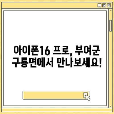 충청남도 부여군 구룡면 아이폰16 프로 사전예약 | 출시일 | 가격 | PRO | SE1 | 디자인 | 프로맥스 | 색상 | 미니 | 개통