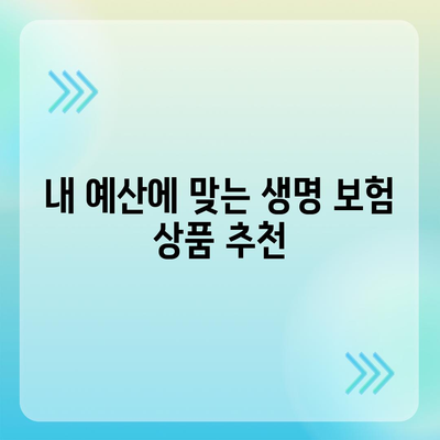 생명 보험 가입, 이렇게 하면 됩니다! | 생명 보험 가입 가이드, 보장 분석, 추천 상품