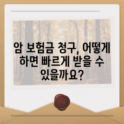 암 보험금 청구, 꼭 알아야 할 정보와 절차 | 암 보험, 보험금 지급, 서류 준비, 청구 방법