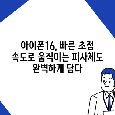 아이폰16 후면 카메라, 더 빠른 초점 속도로 결정적인 순간 포착