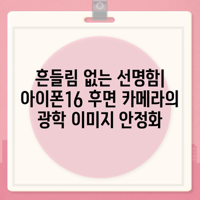 아이폰16 후면 카메라, 새롭게 추가된 광학 이미지 안정화로 선명한 사진