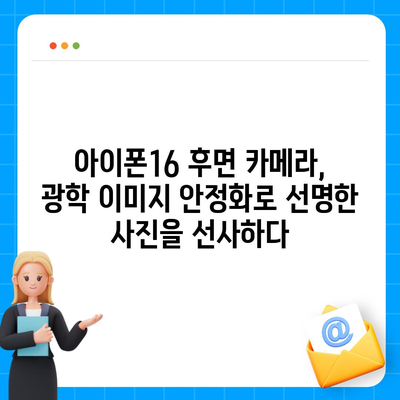 아이폰16 후면 카메라, 새롭게 추가된 광학 이미지 안정화로 선명한 사진