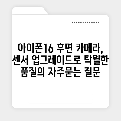 아이폰16 후면 카메라, 센서 업그레이드로 탁월한 품질