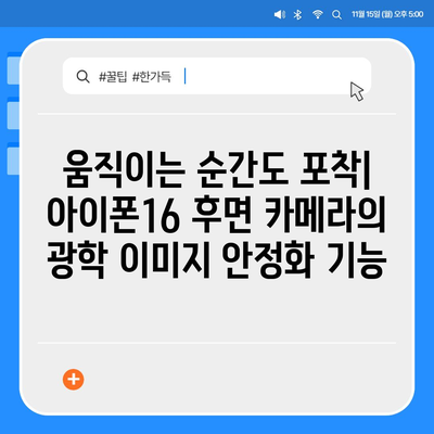 아이폰16 후면 카메라, 새롭게 추가된 광학 이미지 안정화로 선명한 사진