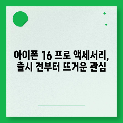 아이폰 16 프로 액세서리 | 어떤 종류의 액세서리가 출시될까?