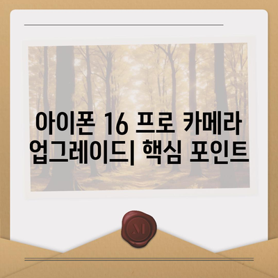 아이폰 16 프로의 대망의 카메라 업그레이드