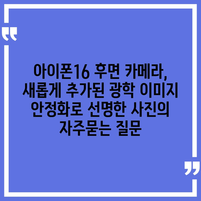 아이폰16 후면 카메라, 새롭게 추가된 광학 이미지 안정화로 선명한 사진