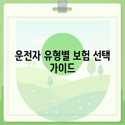 자동차 보험 운전자 보장 차이점 파악하기| 이해를 돕는 완벽 가이드 | 자동차 보험, 보장 비교, 운전자 플랜