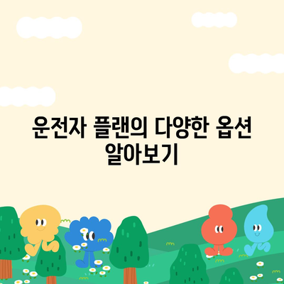 자동차 보험 운전자 보장 차이점 파악하기| 이해를 돕는 완벽 가이드 | 자동차 보험, 보장 비교, 운전자 플랜