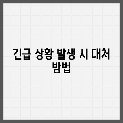 외국 여행 건강 보험으로 비상 사태에 대비하라| 꼭 알아야 할 7가지 팁 | 여행 보험, 건강 관리, 안전 여행"