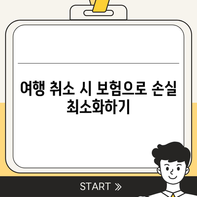 생활형 보험을 외국 여행에 활용하는 5가지 방법 | 여행 보험, 보험 활용, 여행 준비 팁