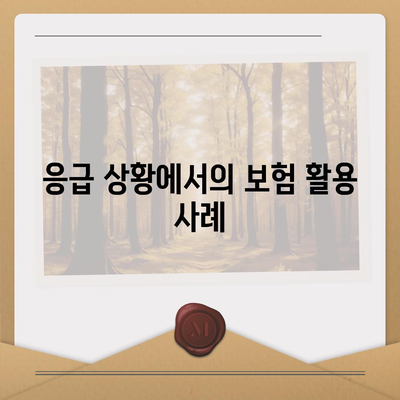 응급 상황에 대비한 면제 책임 보험 활용 방법 | 보험, 안전, 재정 보호