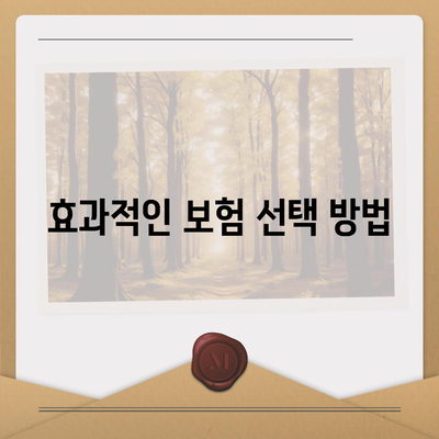 보험 비교 사이트의 장점과 효과적인 가입 방법 | 보험 가입, 비교, 혜택 안내