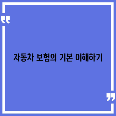 직접 자동차 보험 비교 검토하여 대비하기| 최적의 보험 선택을 위한 5가지 팁 | 자동차 보험, 비교, 재정 관리"