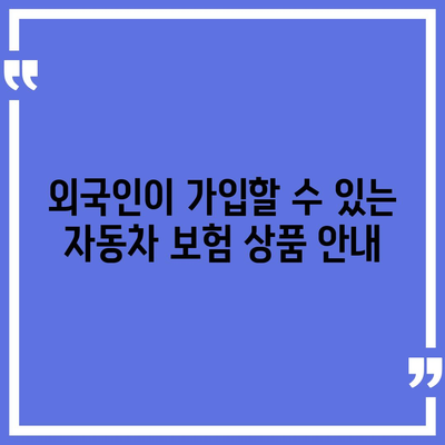 외국인을 위한 자동차 보험 가이드 | 보장 차이점 및 가입 방법 알아보기"