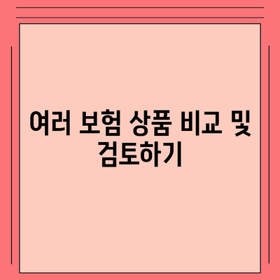 생명 보험 가이드| 당신에게 맞는 보험 찾기 위한 5가지 핵심 팁 | 보험, 재정 계획, 가족 보호