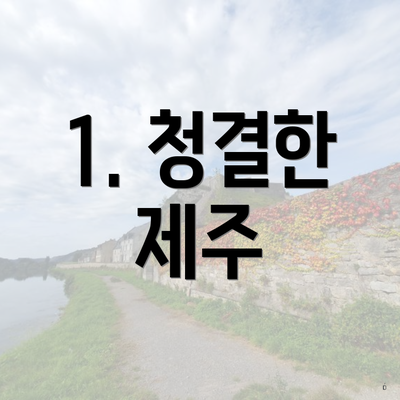 1. 청결한 제주