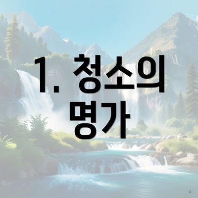 1. 청소의 명가