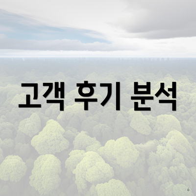 고객 후기 분석