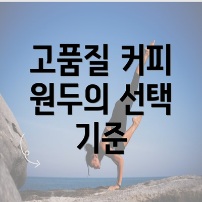 고품질 커피 원두의 선택 기준