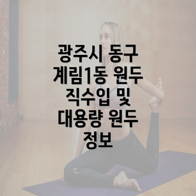 광주시 동구 계림1동 원두 직수입 및 대용량 원두 정보