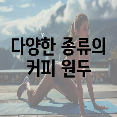 다양한 종류의 커피 원두