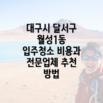 대구시 달서구 월성1동 입주청소 비용과 전문업체 추천 방법