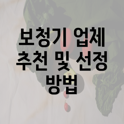 보청기 업체 추천 및 선정 방법