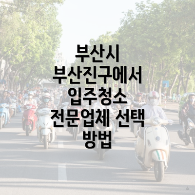 부산시 부산진구에서 입주청소 전문업체 선택 방법