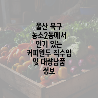 울산 북구 농소2동에서 인기 있는 커피원두 직수입 및 대량납품 정보