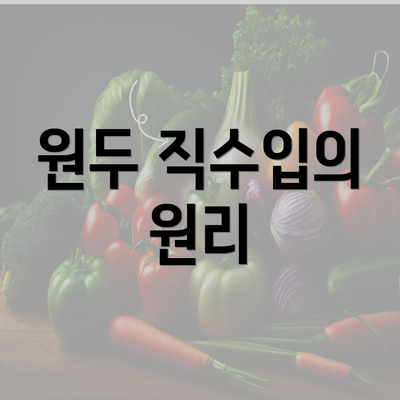 원두 직수입의 원리