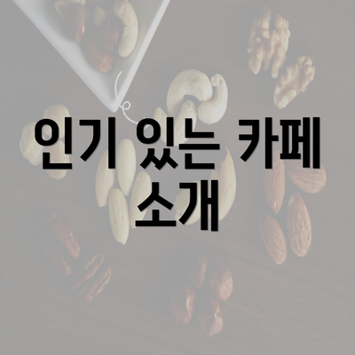 인기 있는 카페 소개