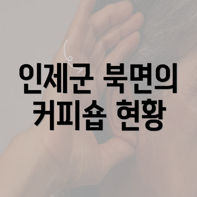 인제군 북면의 커피숍 현황