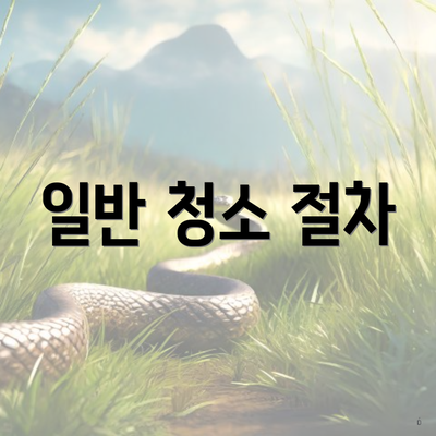 일반 청소 절차