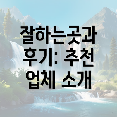 잘하는곳과 후기: 추천 업체 소개