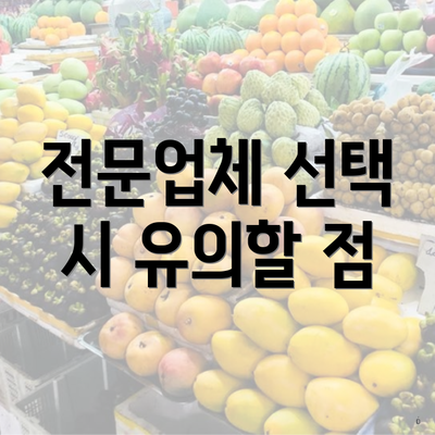 전문업체 선택 시 유의할 점