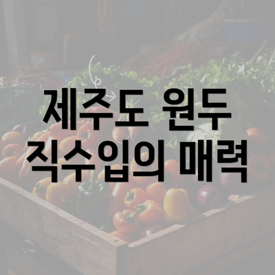 제주도 원두 직수입의 매력