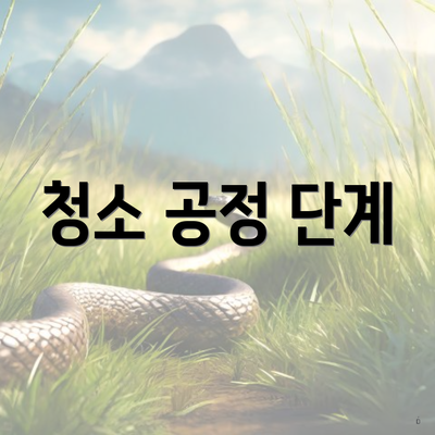 청소 공정 단계