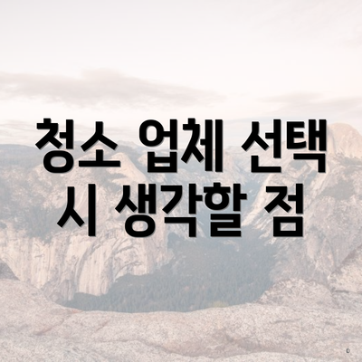 청소 업체 선택 시 생각할 점