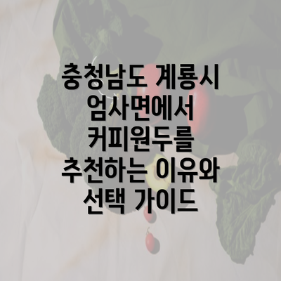 충청남도 계룡시 엄사면에서 커피원두를 추천하는 이유와 선택 가이드