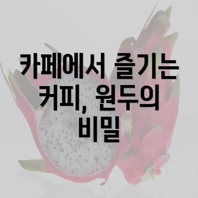 카페에서 즐기는 커피, 원두의 비밀