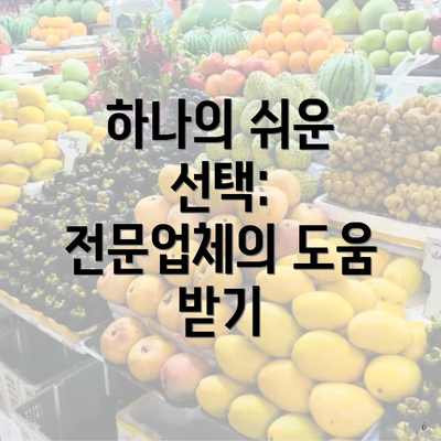 하나의 쉬운 선택: 전문업체의 도움 받기