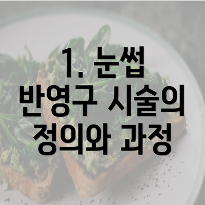 1. 눈썹 반영구 시술의 정의와 과정