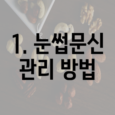 1. 눈썹문신 관리 방법