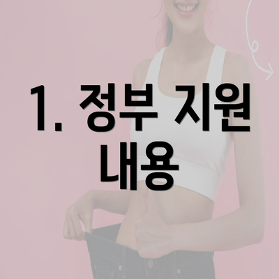 1. 정부 지원 내용