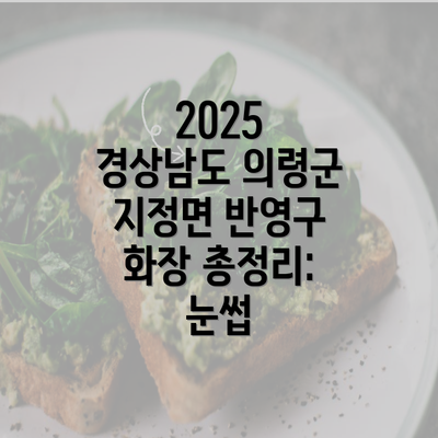 2025 경상남도 의령군 지정면 반영구 화장 총정리: 눈썹