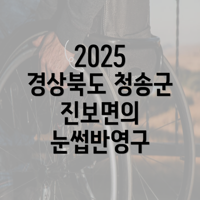 2025 경상북도 청송군 진보면의 눈썹반영구