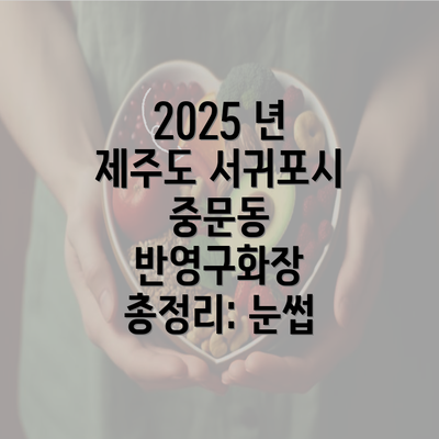 2025 년 제주도 서귀포시 중문동 반영구화장 총정리: 눈썹