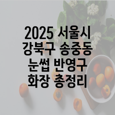 2025 서울시 강북구 송중동 눈썹 반영구 화장 총정리